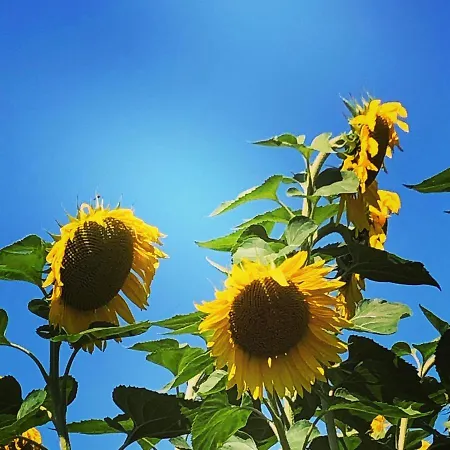 En Pierre Apartamento *