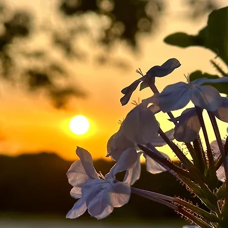 En Pierre Apartamento