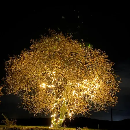 En Pierre Blanquefort-sur-Briolance