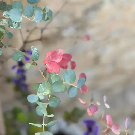 En Pierre Apartamento *