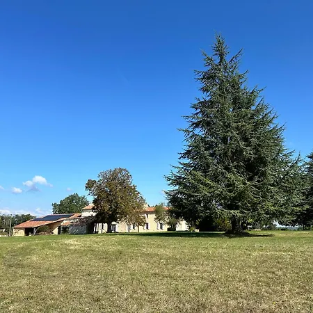 En Pierre Blanquefort-sur-Briolance