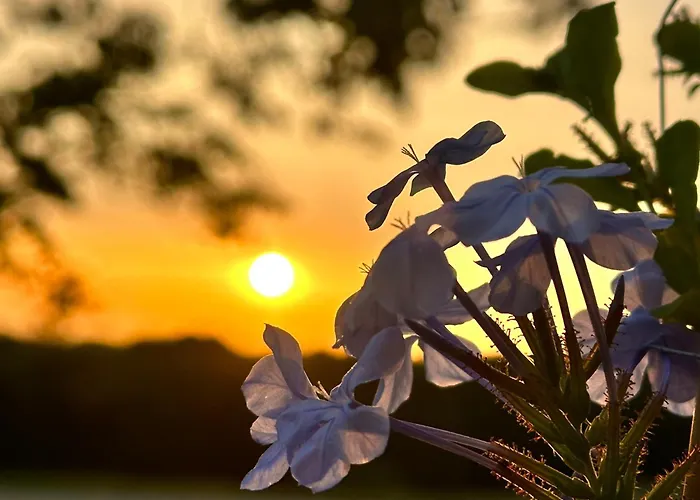 En Pierre Apartamento