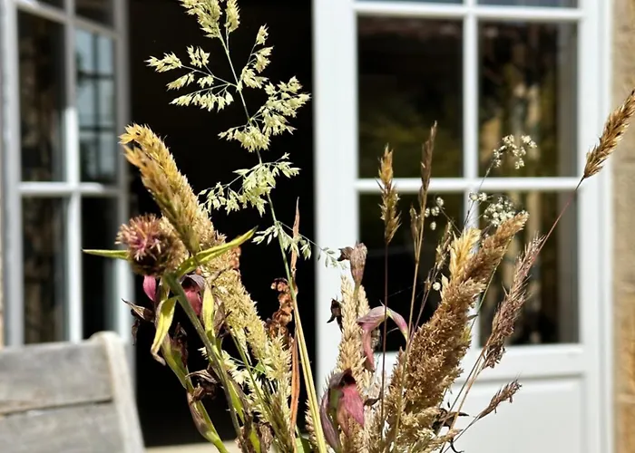 Apartamento En Pierre Blanquefort-sur-Briolance