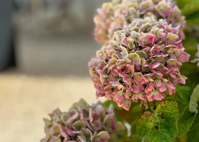 En Pierre Blanquefort-sur-Briolance