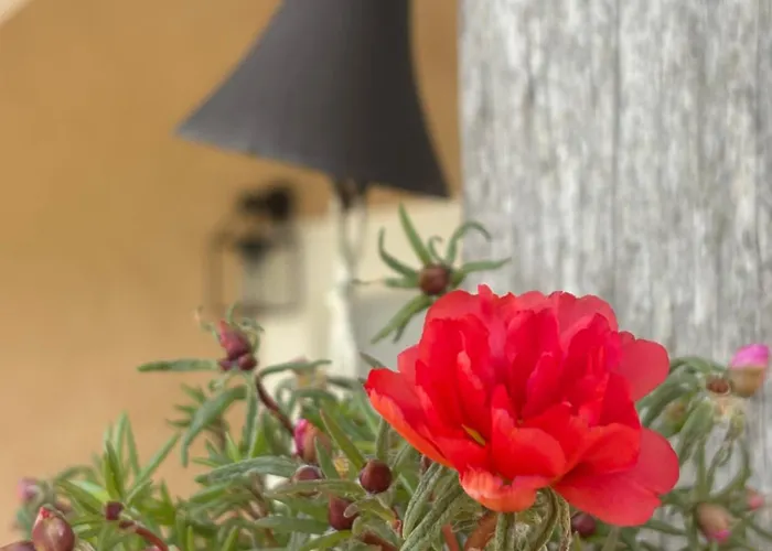 En Pierre Apartamento *