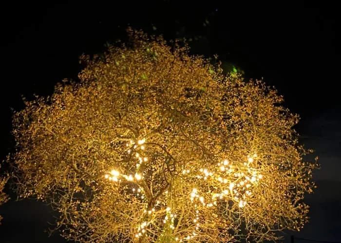 En Pierre Blanquefort-sur-Briolance