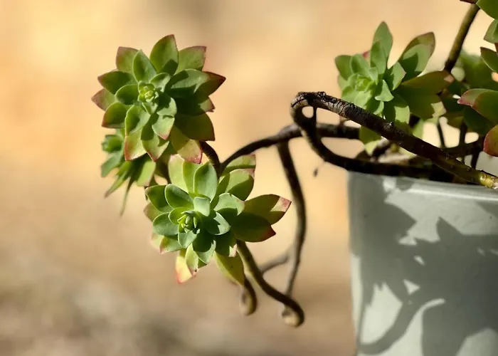 Apartamento En Pierre