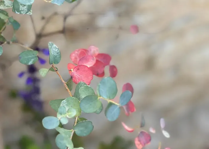 En Pierre Apartamento *